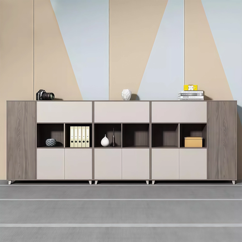 Elegant Wooden Panel Bookshelf & Office File Cabinet