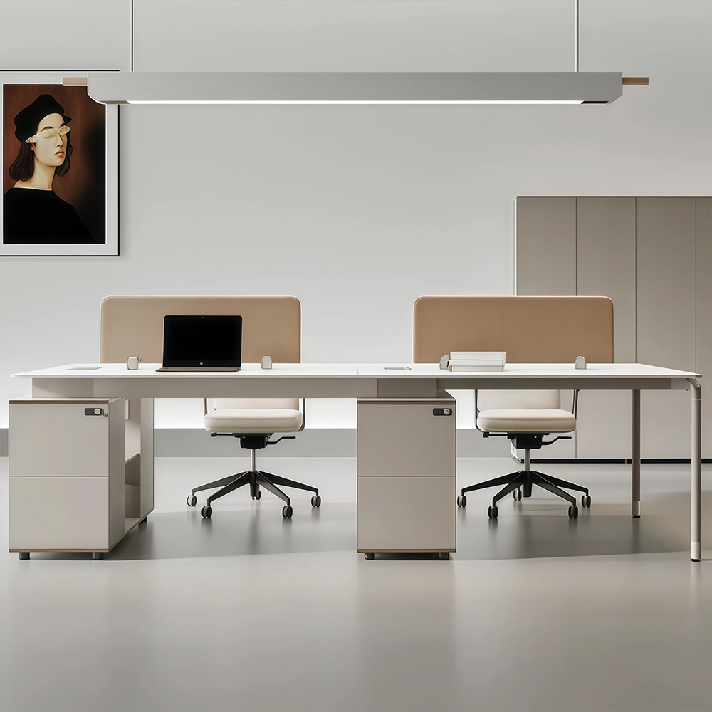 Modern Minimalist Staff Desk with Lock & Partition