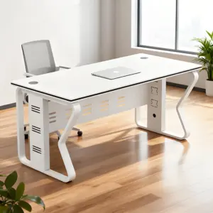 Modern Partition Workstation Desk - Maoters