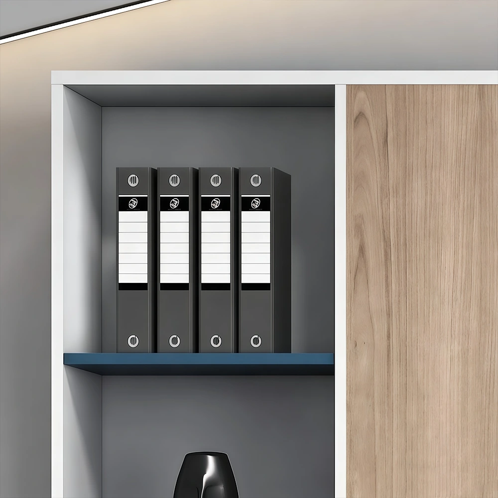 Office Bookcase, File Cabinet, Storage Cabinet Office Bookcase, File Cabinet, Storage Cabinet