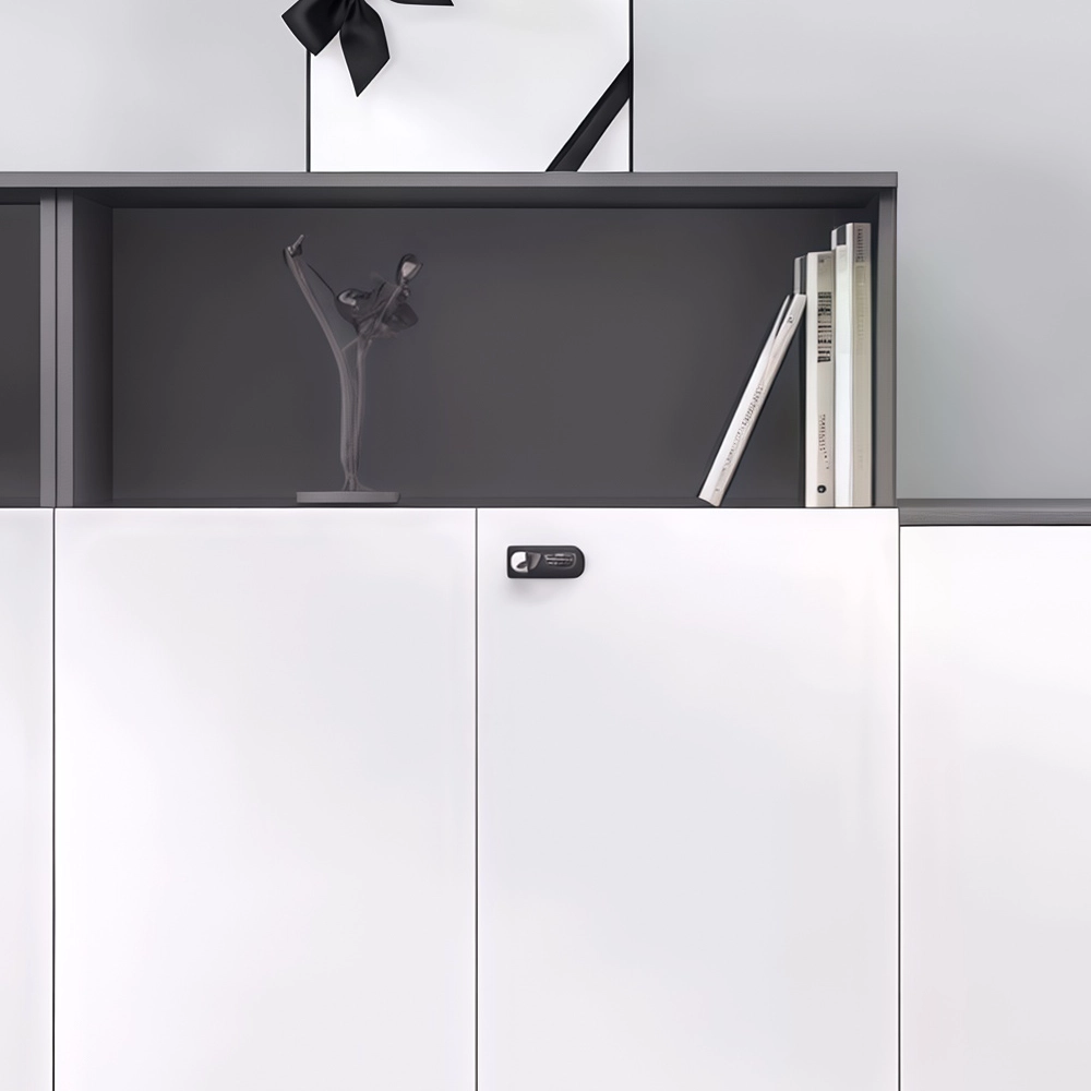 Office File Cabinet with Password Lock Office File Cabinet with Password Lock