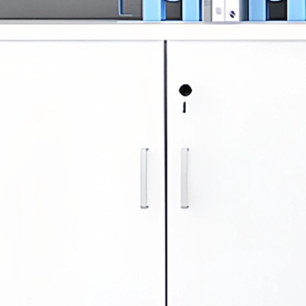 Office Low Cabinet with Lock - Secure File Storage Office Low Cabinet with Lock - Secure File Storage