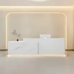Simple Modern Lacquered Front Desk