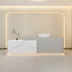 Simple Modern Lacquered Front Desk