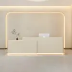 Simple Modern Lacquered Front Desk