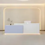 Simple Modern Lacquered Front Desk