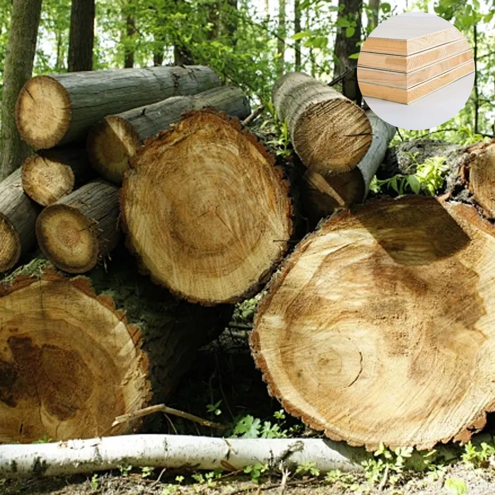 Vintage Retail Counter - Cashier Desk for Boutique, Cafe & Floral Shop