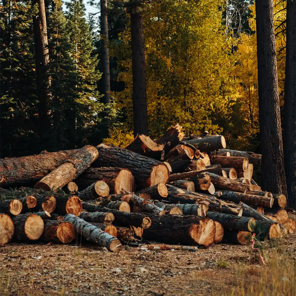 Modern Light Luxury Lacquer Conference Table Modern Light Luxury Lacquer Conference Table