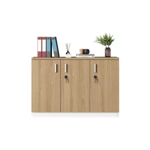 Secure Filing Cabinet Partition - Locking Storage Divider for Office Organization
