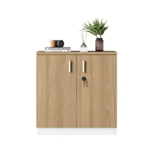 Secure Filing Cabinet Partition - Locking Storage Divider for Office Organization