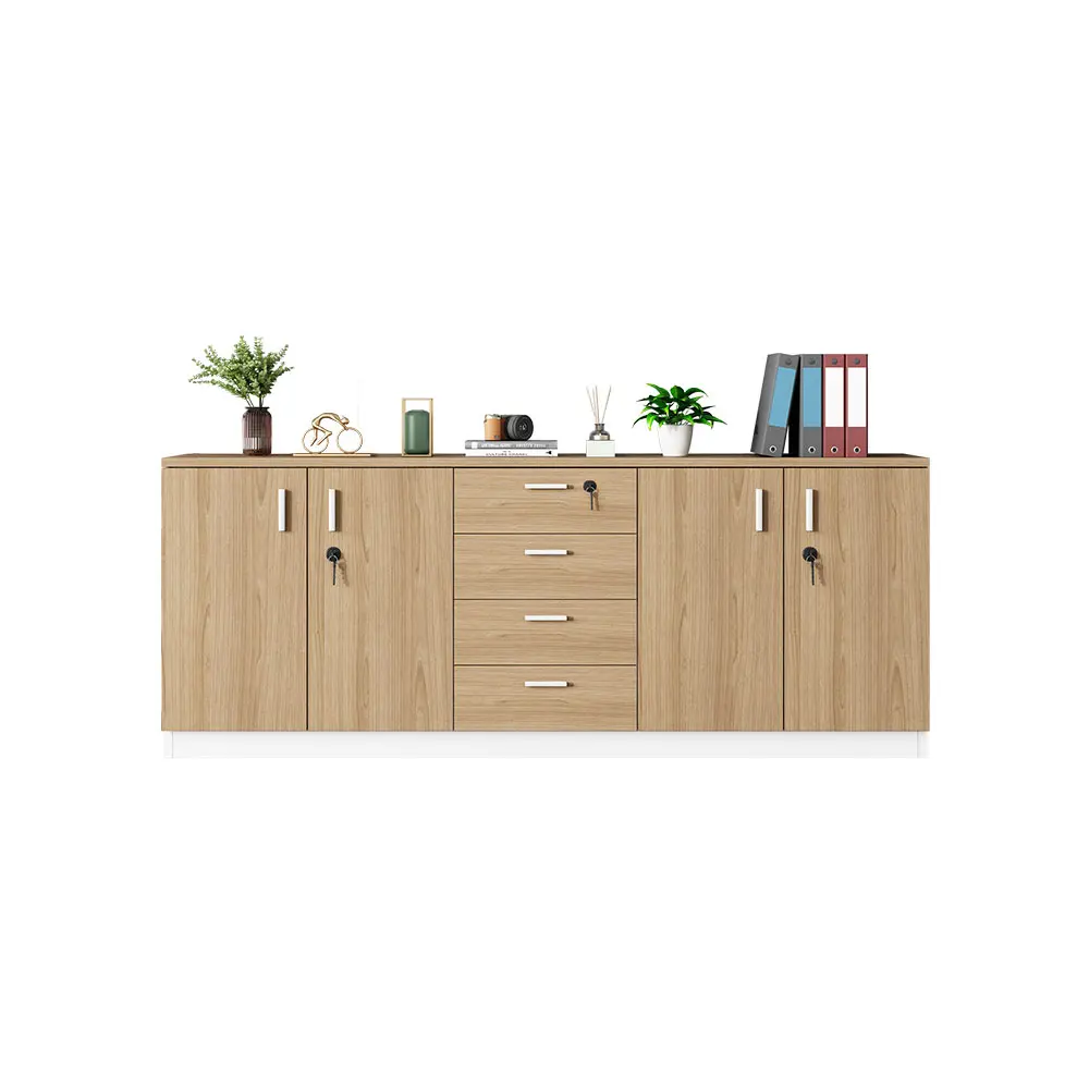 Secure Filing Cabinet Partition - Locking Storage Divider for Office Organization