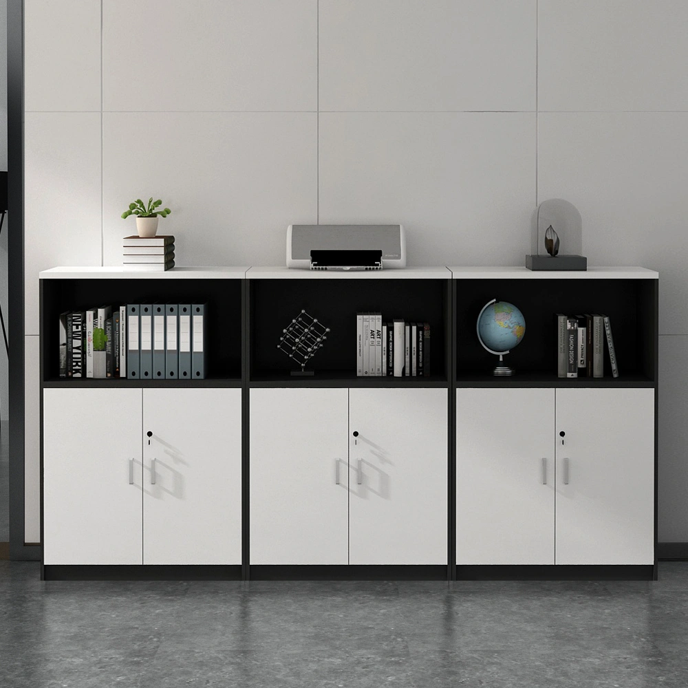 Low Office Storage Cabinets - File & Document Organizer Cabinet Solutions