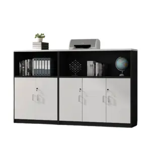 Low Office Storage Cabinets - File & Document Organizer Cabinet Solutions