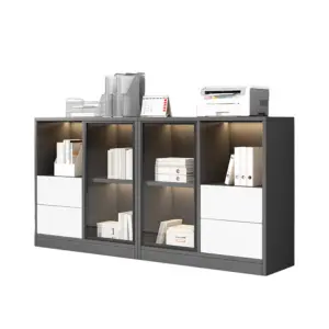 Office Filing Cabinet with Partitions - Low Profile Organizer for Documents & Archives