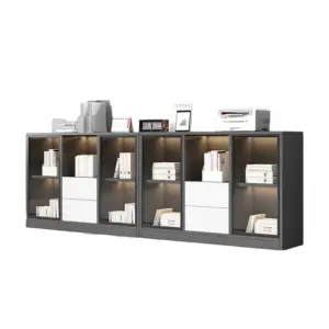 Office Filing Cabinet with Partitions - Low Profile Organizer for Documents & Archives