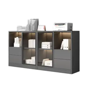 Office Filing Cabinet with Partitions - Low Profile Organizer for Documents & Archives