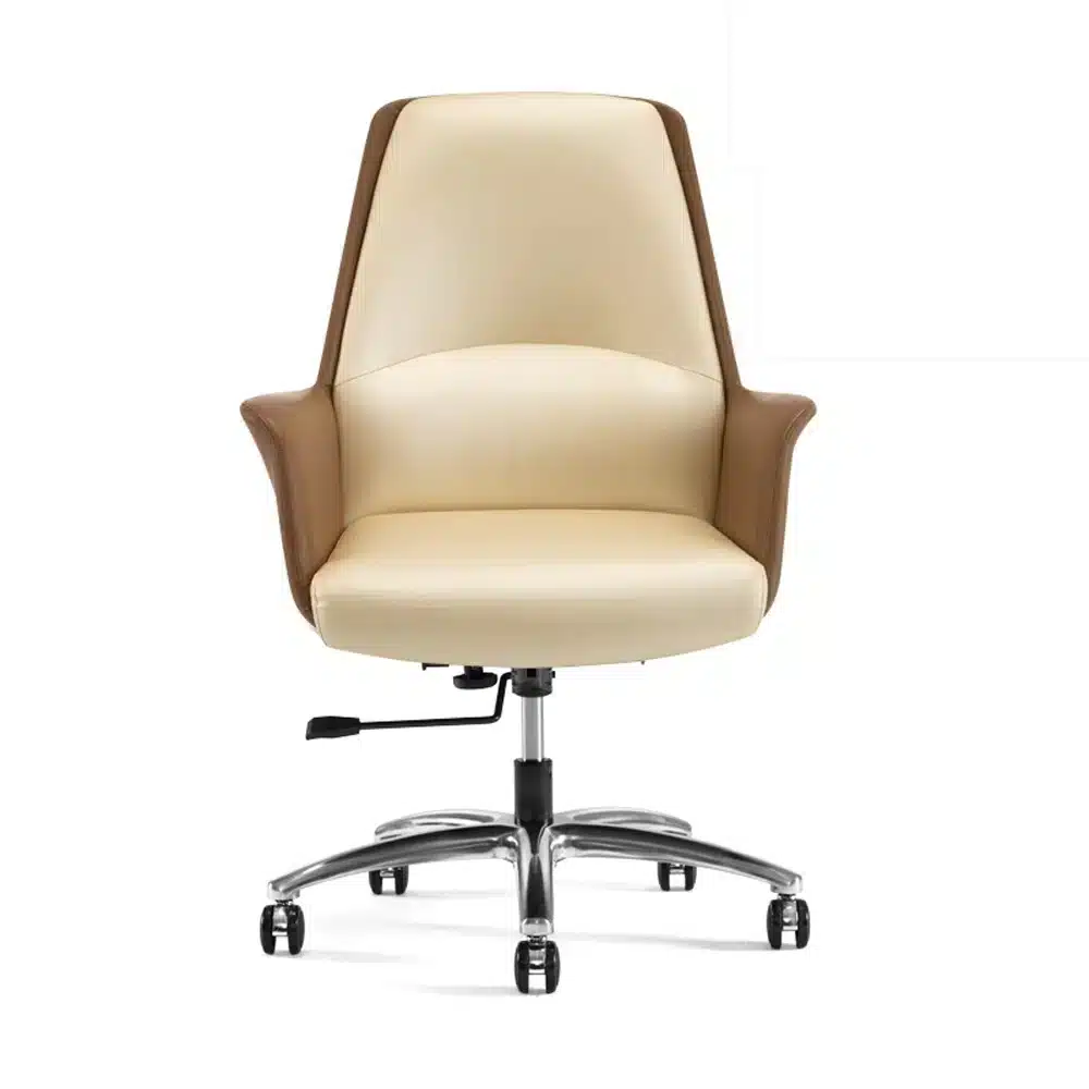未标题-10 Executive Gaming Chair - High-Back Ergonomic Office Chair for Computer Desk
