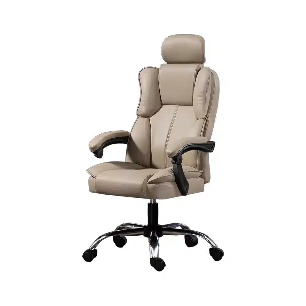 Ergonomic Office Chair with Lumbar Support