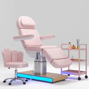 Professional Electric Beauty Beds Treatment Chairs & Cosmetic Tattoo Tables