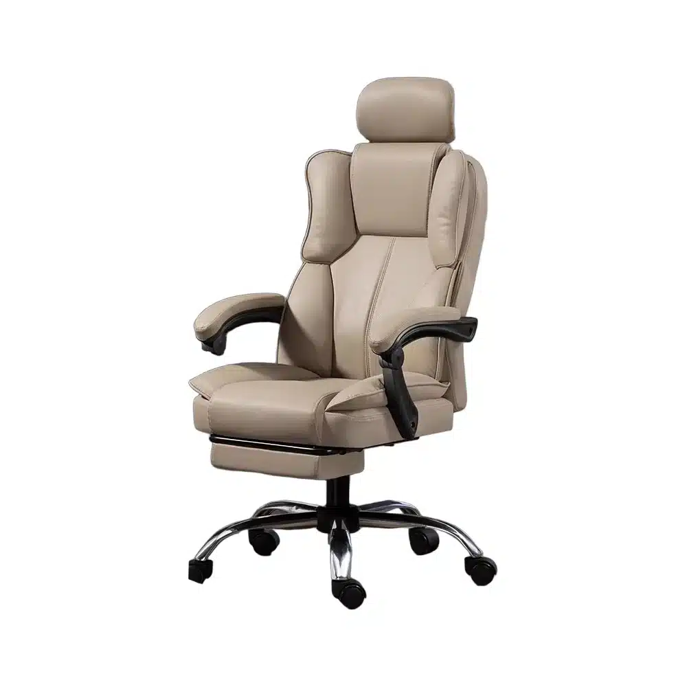 Ergonomic Office Chair with Lumbar Support