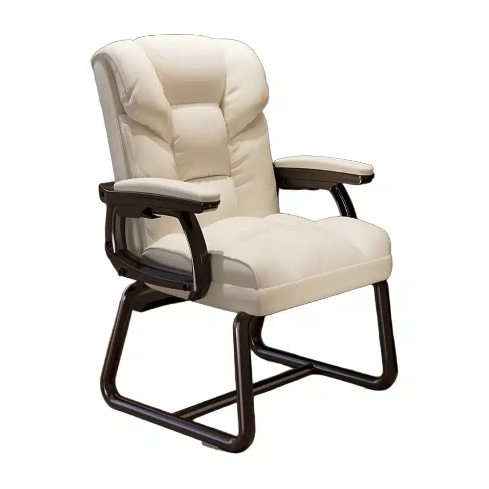 Ergonomic High Back Desk Chair with Lumbar Support for Home & Business