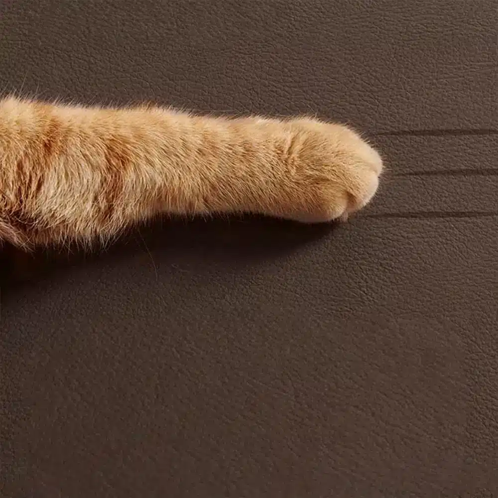 Modern Reception Room Sofa Sets- Luxury Office Waiting Room Furniture Modern Reception Room Sofa Sets- Luxury Office Waiting Room Furniture