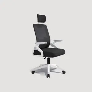 Ergonomic Chairs