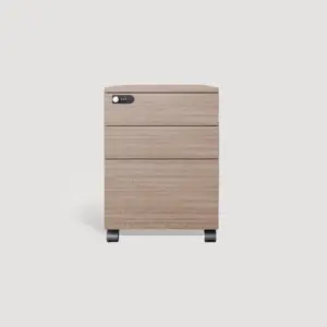 Mobile File Cabinets