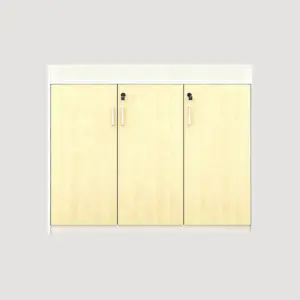 Vertical File Cabinets
